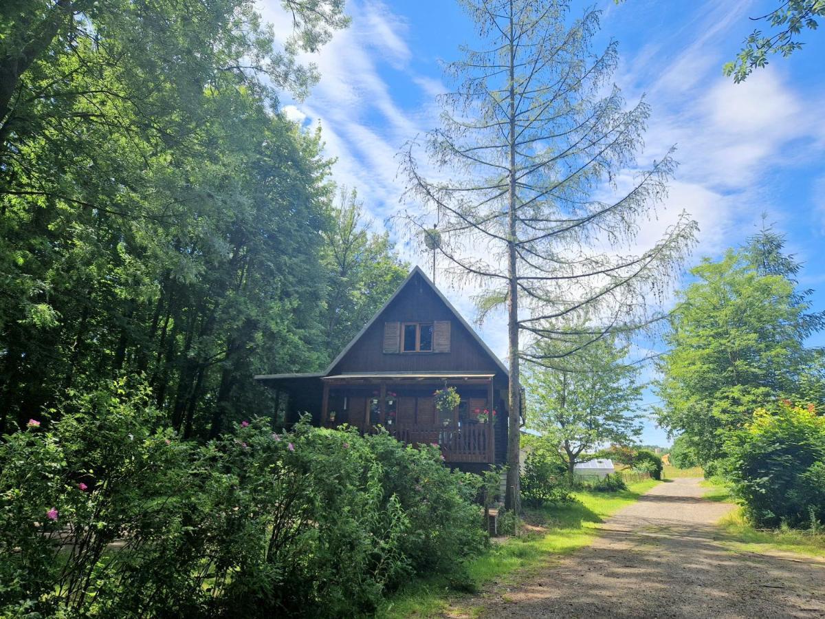 Chata Lucina Villa Horní Soběšovice Bagian luar foto